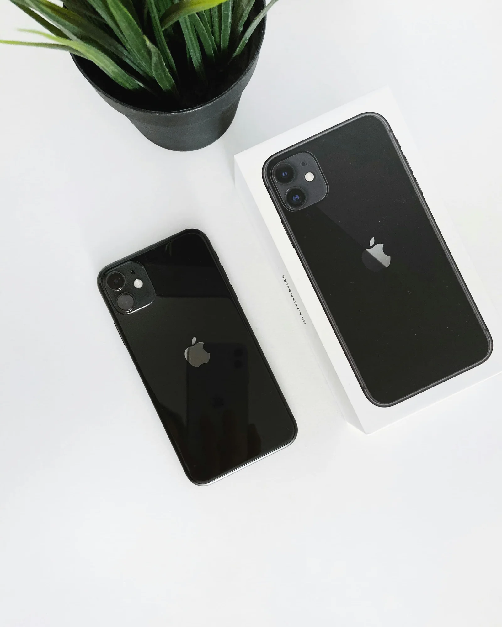 iPhone 11