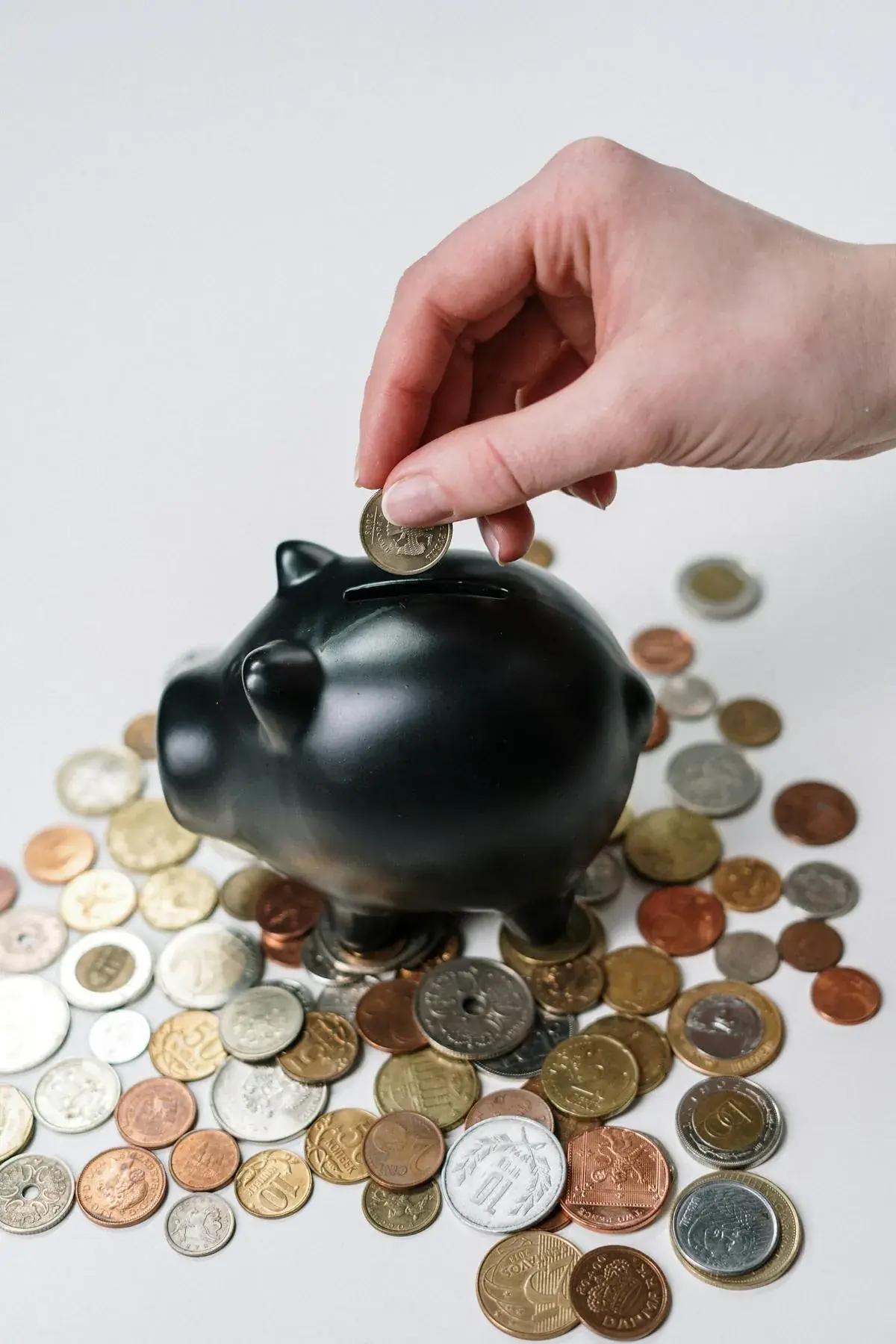 Shopping en ligne avec carte bancaire et ordinateur portable - illustration cashback et économies sur achats web