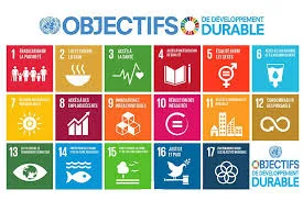 Pictogramme des 17 objectifs de développement durable