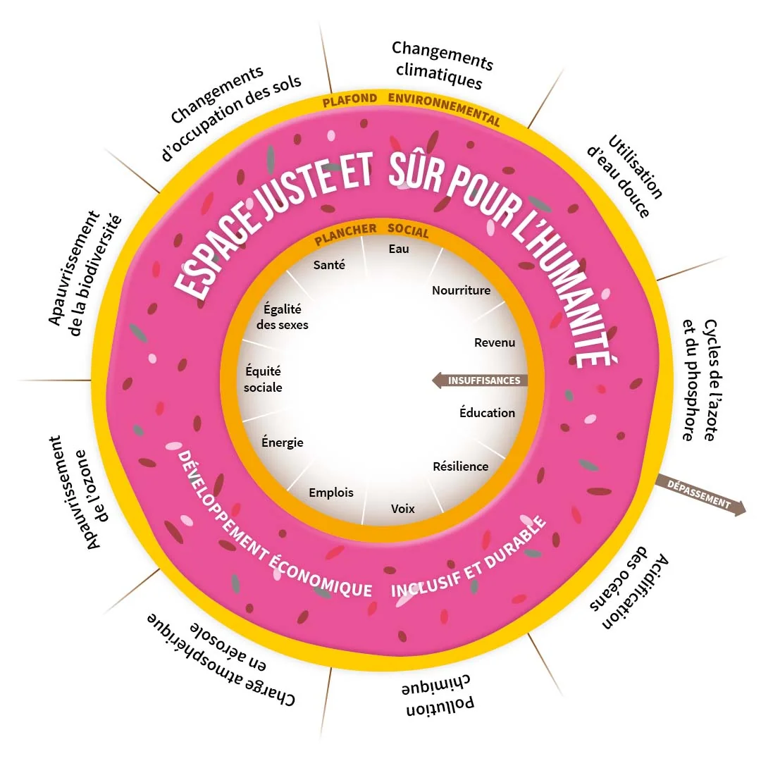 Théorie du donut, schéma représentatif du plancher social et du plafond environnemental par limite